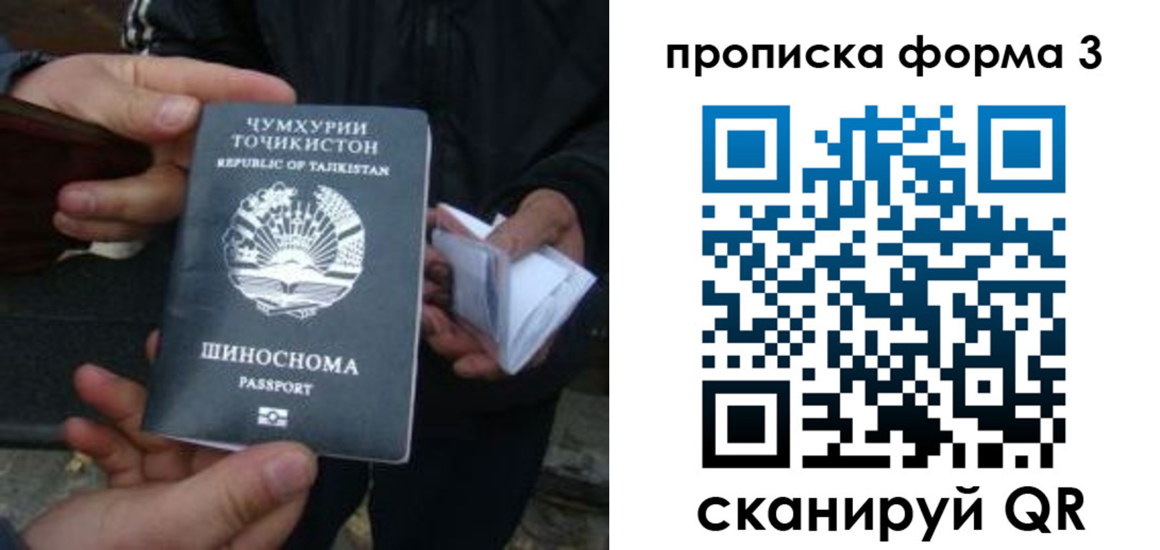 прописка 2025 в Копейске